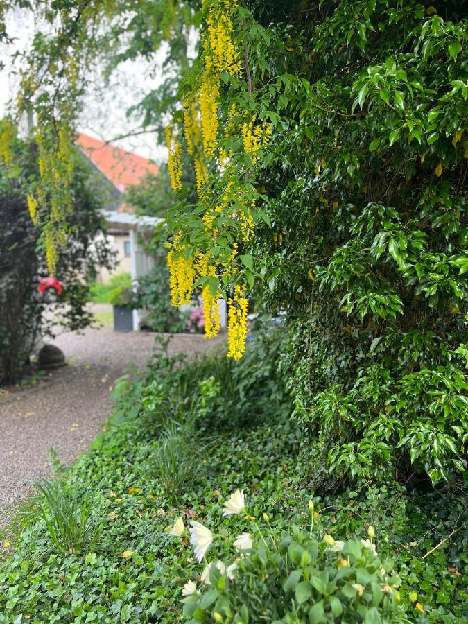 Solhaga Kullahalvoen Villa Jonstorp Ngoại thất bức ảnh